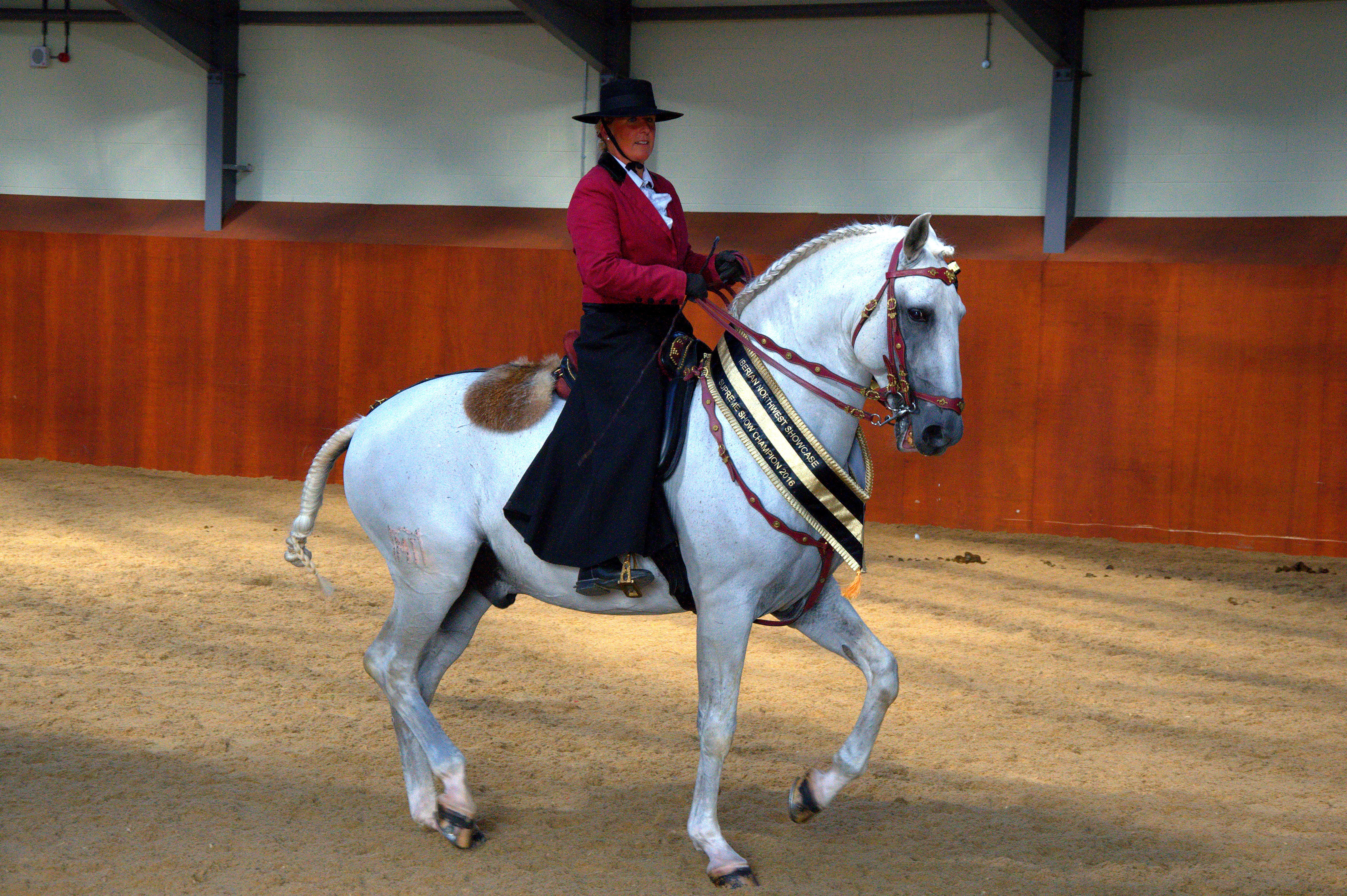 Championship winner Northwest Iberian Showcase